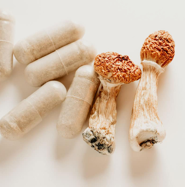 magic mushroom Capsules